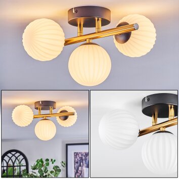 Chehalis Plafondlamp, Kogellampje Goud, Zwart, 3-lichts