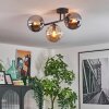 Gastor Plafondlamp, Kogellampje Amber, Rookkleurig, 3-lichts