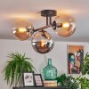 Gastor Plafondlamp, Kogellampje Amber, Rookkleurig, 3-lichts