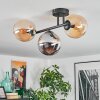 Gastor Plafondlamp, Kogellampje Amber, Rookkleurig, 3-lichts