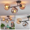 Gastor Plafondlamp, Kogellampje Amber, Duidelijk, Rookkleurig, 3-lichts