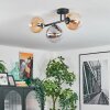 Gastor Plafondlamp, Kogellampje Amber, Duidelijk, Rookkleurig, 3-lichts