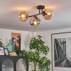 Gastor Plafondlamp, Kogellampje Amber, Duidelijk, Rookkleurig, 3-lichts