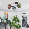 Koyoto Plafondlamp, Kogellampje Blauw, Groen, Duidelijk, Koperkleurig, 3-lichts