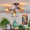 Koyoto Plafondlamp, Kogellampje Amber, Duidelijk, Rookkleurig, 3-lichts