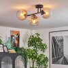 Koyoto Plafondlamp, Kogellampje Amber, Duidelijk, Rookkleurig, 3-lichts