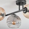Koyoto Plafondlamp, Kogellampje Amber, Duidelijk, Rookkleurig, 3-lichts