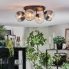 Koyoto Plafondlamp, Kogellampje Amber, Duidelijk, Rookkleurig, 4-lichts
