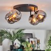 Ripoll Plafondlamp, Kogellampje Rookkleurig, 4-lichts