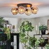 Ripoll Plafondlamp, Kogellampje Amber, 4-lichts