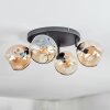 Ripoll Plafondlamp, Kogellampje Amber, 4-lichts