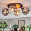 Ripoll Plafondlamp, Kogellampje Amber, Duidelijk, Rookkleurig, 4-lichts