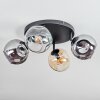 Ripoll Plafondlamp, Kogellampje Amber, Duidelijk, Rookkleurig, 4-lichts