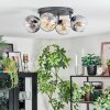 Ripoll Plafondlamp, Kogellampje Amber, Duidelijk, Rookkleurig, 4-lichts