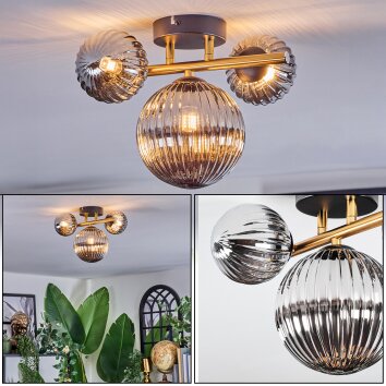 Chehalis Plafondlamp, Kogellampje Goud, Zwart, 3-lichts