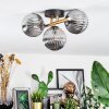 Chehalis Plafondlamp, Kogellampje Goud, Zwart, 3-lichts