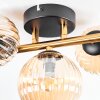 Chehalis Plafondlamp, Kogellampje Goud, Zwart, 3-lichts