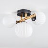 Chehalis Plafondlamp, Kogellampje Goud, Zwart, 3-lichts
