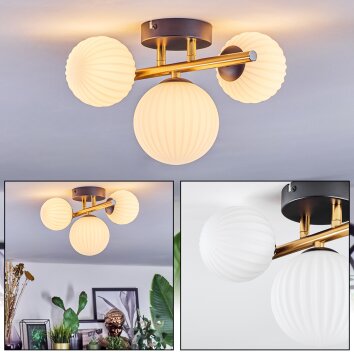 Chehalis Plafondlamp, Kogellampje Goud, Zwart, 3-lichts