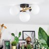 Chehalis Plafondlamp, Kogellampje Goud, Zwart, 3-lichts