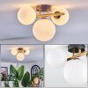Chehalis Plafondlamp, Kogellampje Goud, Zwart, 3-lichts