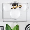 Chehalis Plafondlamp, Kogellampje Goud, Zwart, 3-lichts