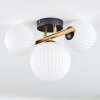 Chehalis Plafondlamp, Kogellampje Goud, Zwart, 3-lichts