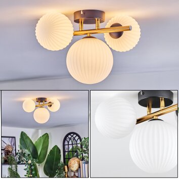 Chehalis Plafondlamp, Kogellampje Goud, Zwart, 3-lichts