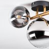 Chehalis Plafondlamp, Kogellampje Goud, Zwart, 3-lichts