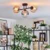Gastor Plafondlamp, Kogellampje Amber, Duidelijk, Rookkleurig, 3-lichts