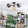 Ripoll Plafondlamp, Kogellampje Amber, Rookkleurig, 3-lichts