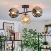 Ripoll Plafondlamp, Kogellampje Amber, Rookkleurig, 3-lichts