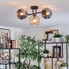 Ripoll Plafondlamp, Kogellampje Amber, Rookkleurig, 3-lichts