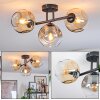 Ripoll Plafondlamp, Kogellampje Amber, Duidelijk, Rookkleurig, 3-lichts