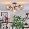 Ripoll Plafondlamp, Kogellampje Amber, Duidelijk, Rookkleurig, 3-lichts