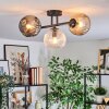 Ripoll Plafondlamp, Kogellampje Amber, Duidelijk, Rookkleurig, 3-lichts