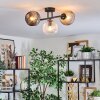 Ripoll Plafondlamp, Kogellampje Amber, Duidelijk, Rookkleurig, 3-lichts