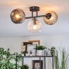 Ripoll Plafondlamp, Kogellampje Amber, Duidelijk, Rookkleurig, 3-lichts