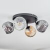 Ripoll Plafondlamp, Kogellampje Amber, Duidelijk, Rookkleurig, 4-lichts