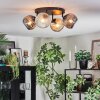 Ripoll Plafondlamp, Kogellampje Amber, Duidelijk, Rookkleurig, 4-lichts
