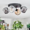 Ripoll Plafondlamp, Kogellampje Amber, Duidelijk, Rookkleurig, 4-lichts