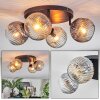 Ripoll Plafondlamp, Kogellampje Amber, Duidelijk, Rookkleurig, 4-lichts