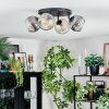 Ripoll Plafondlamp, Kogellampje Amber, Duidelijk, Rookkleurig, 4-lichts