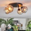 Ripoll Plafondlamp, Kogellampje Amber, Duidelijk, Rookkleurig, 4-lichts