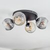 Ripoll Plafondlamp, Kogellampje Amber, Duidelijk, Rookkleurig, 4-lichts