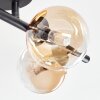 Chehalis Plafondlamp, Kogellampje Amber, Duidelijk, 4-lichts