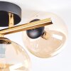Chehalis Plafondlamp, Kogellampje Goud, Zwart, 3-lichts