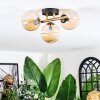 Chehalis Plafondlamp, Kogellampje Goud, Zwart, 3-lichts