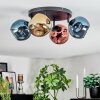 Ripoll Plafondlamp, Kogellampje Blauw, Goud, Koperkleurig, 4-lichts