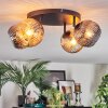Ripoll Plafondlamp, Kogellampje Amber, Rookkleurig, 4-lichts